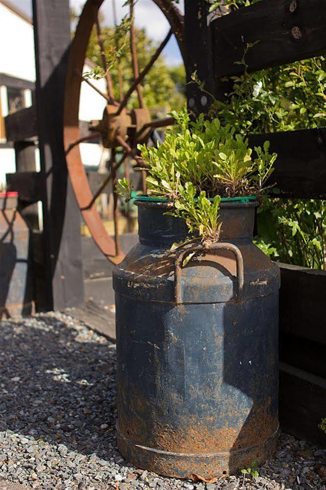 Cambridge Coach House Hotel ภายนอก รูปภาพ